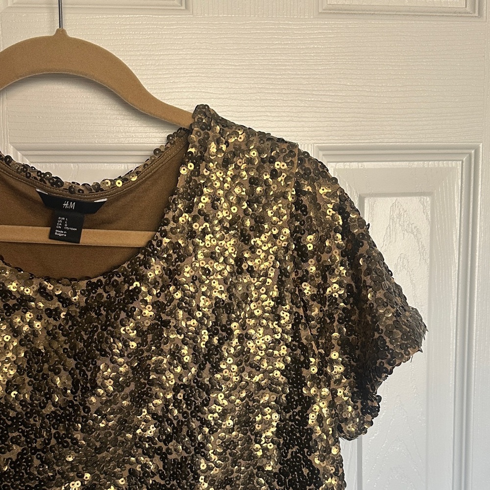 Never worn- Bronze Sequin Short Sleeve Top